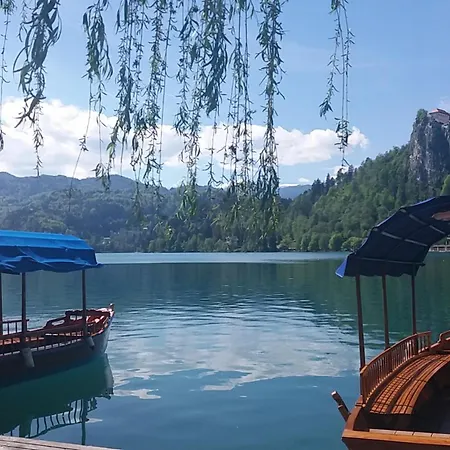 Catalina Lesce-bled Apartment Lesce (Upper Carniola)