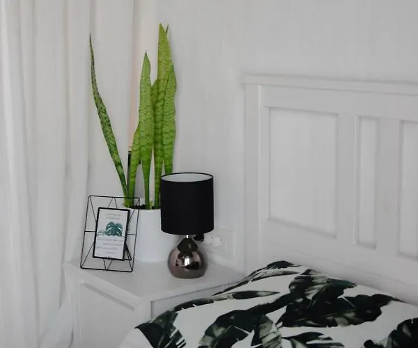 Catalina Lesce-bled * 勒什