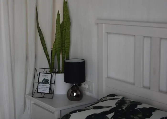 Catalina Lesce-bled *